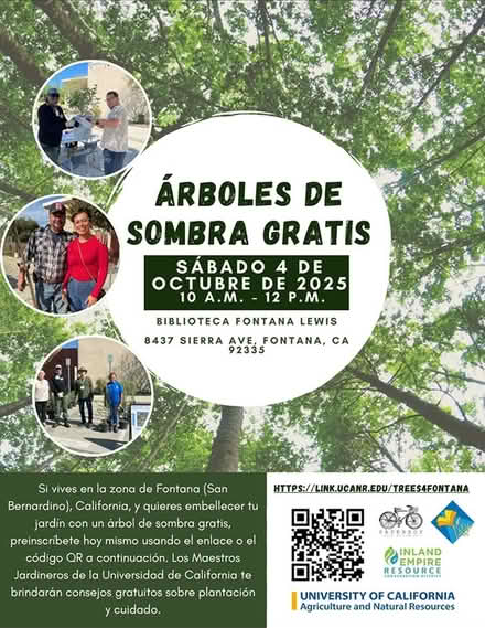 Photo of free Shade Tree Giveaway – Fontana (Fontana, California) #2