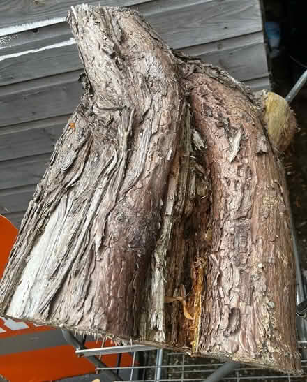 Photo of free 2 wooden logs (New Oscott B73) #2