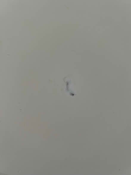 Photo of free Desk (Southport PR8) #3