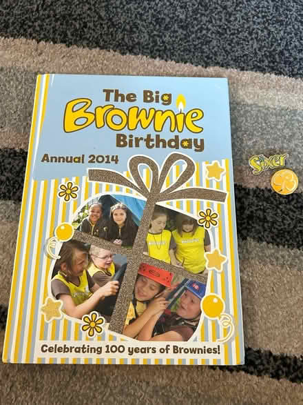 Photo of free Brownie books & pins (Jennetts park RG12) #2