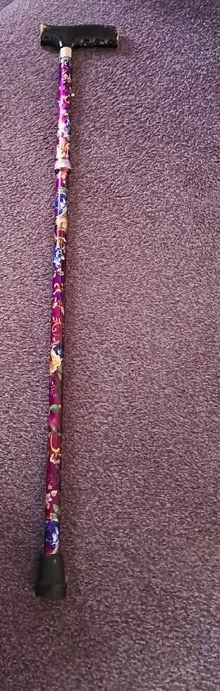 Photo of free Adjustable Folding Walking Stick (Harefield SO19) #1
