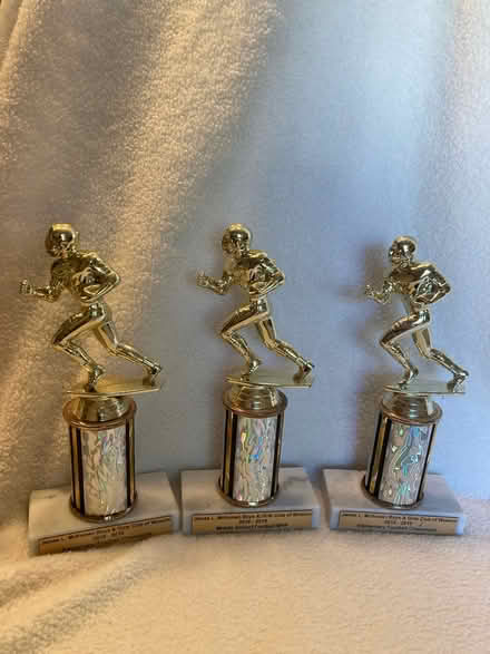 Photo of free 3 trophies (Woburn) #1