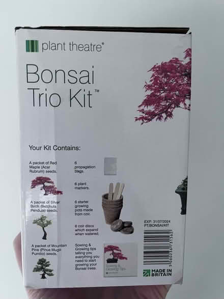 Photo of free Grow your own Bonsai Tree kit (Leatherhead KT22) #2