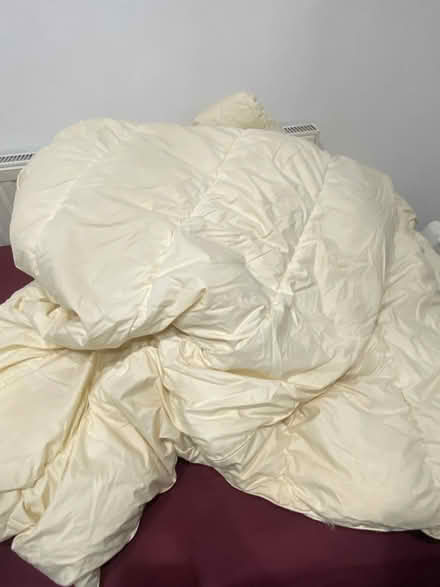 Photo of free King size duvet duck feathers (Barking IG11) #1
