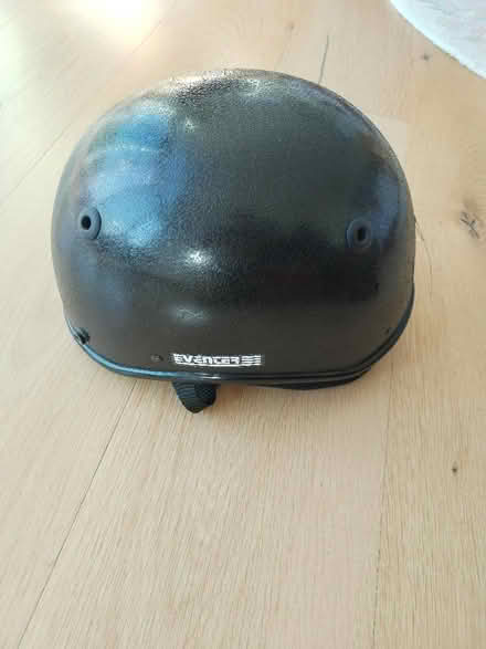 Photo of free Old Dublin Skullcap (TN36) #1
