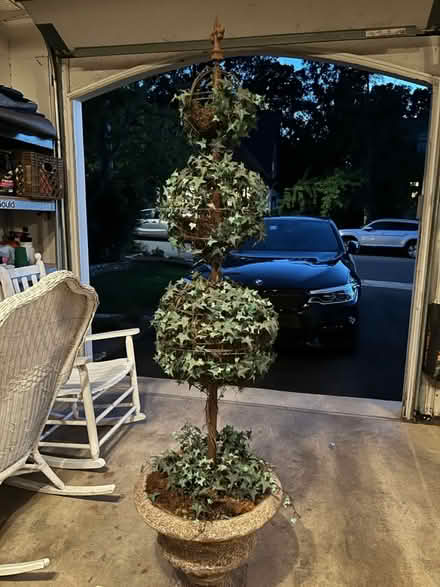 Photo of free Topiary (Vienna community center) #1