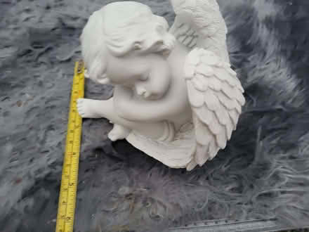 Photo of free Cherub (Shirley B90) #1