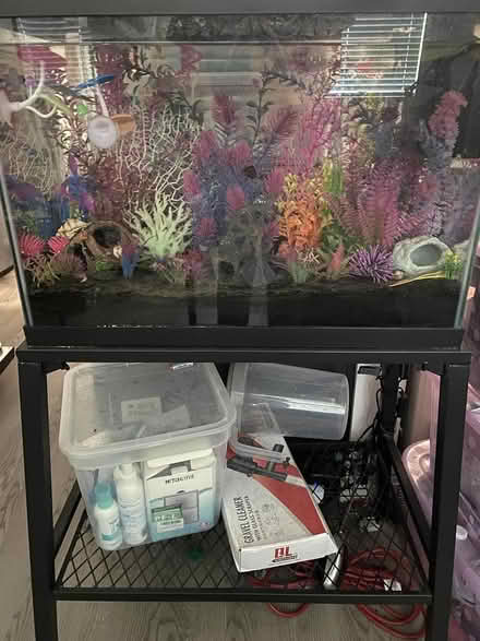 Photo of free 20 gal fish tank, supplies, & stand (Downtown) #1