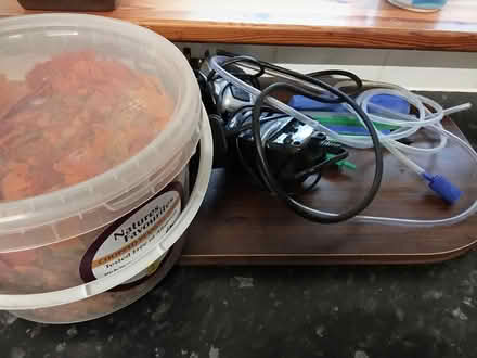 Photo of free Fish tank plus more (Willesborough) #2