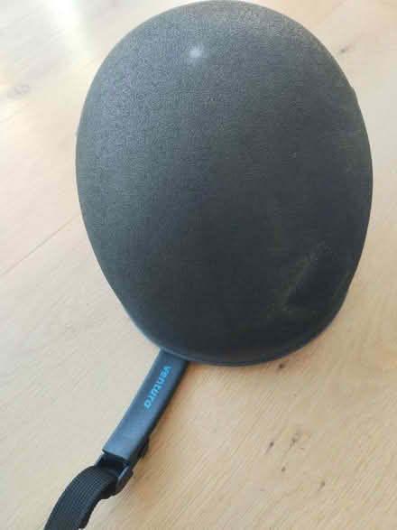 Photo of free Charles Owen Skullcap (TN36) #2