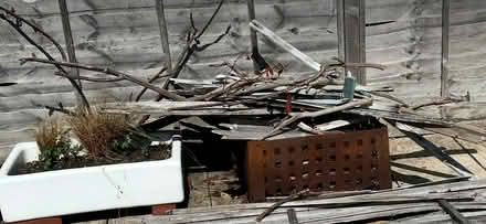 Photo of free Firewood (Worle BS22) #2