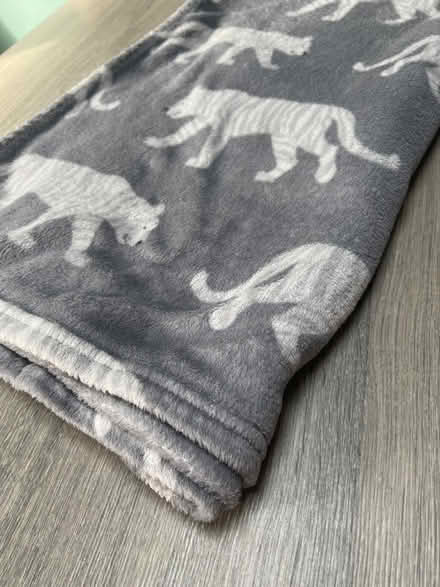 Photo of free Grey Polar Bear pattern blanket. Good condition (Southsea PO4) #3