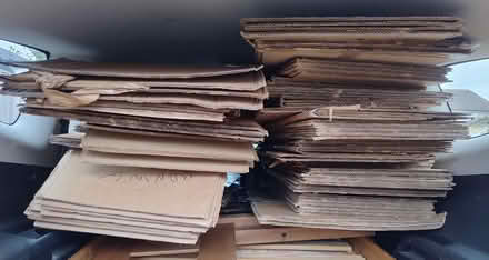 Photo of free Moving boxes (Stopsley LU2) #1