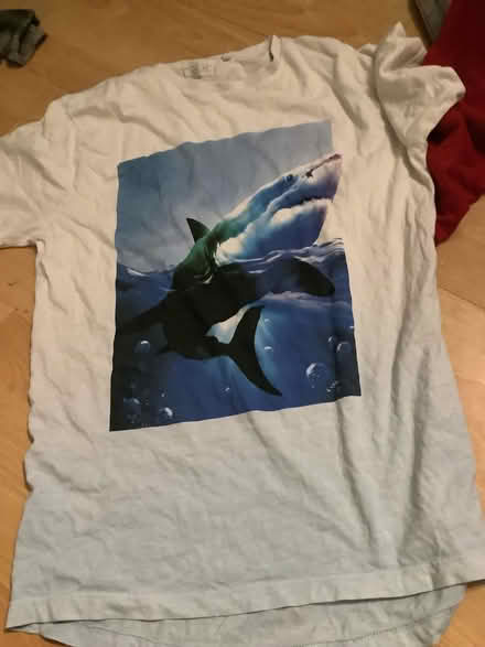 Photo of free Age 13 t shirt (Brampton S40) #1