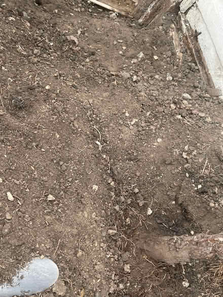 Photo of free Soil, 5 bags (Wokingham RG41) #1