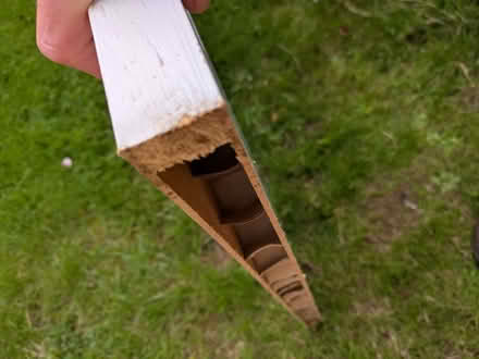 Photo of free Door (Caldecott OX14) #3