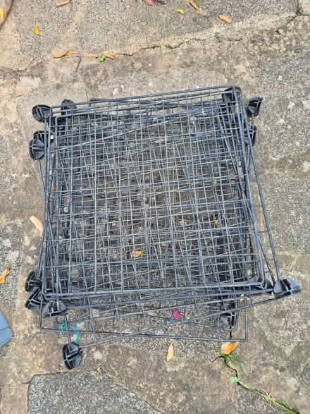Photo of free Guinea pig play pen (Gidea Park RM2) #1