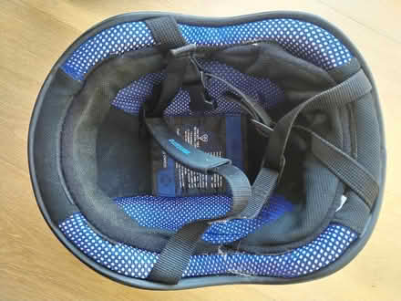 Photo of free Charles Owen Skullcap (TN36) #4