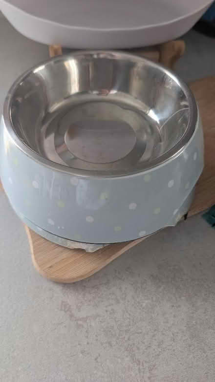 Photo of free Dog or cat bowls (Broomfield CM1) #1