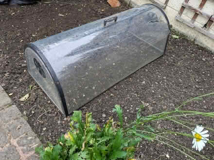 Photo of free Garden Cloche (Dublin) #2