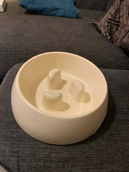 Photo of free Dog slow feeder bowl (Withington Hereford) #1