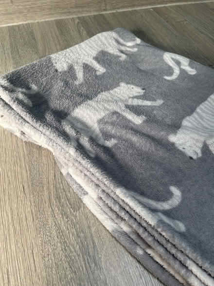 Photo of free Grey Polar Bear pattern blanket. Good condition (Southsea PO4) #2