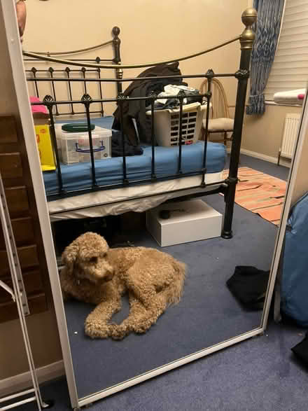 Photo of free Mirrors (High Wycombe, HP13) #2