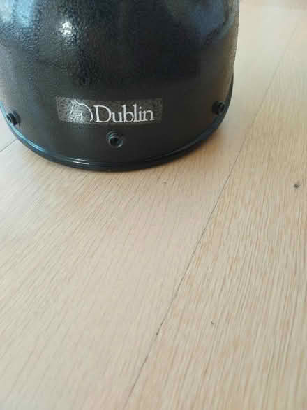 Photo of free Old Dublin Skullcap (TN36) #3