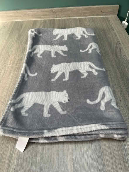 Photo of free Grey Polar Bear pattern blanket. Good condition (Southsea PO4) #1