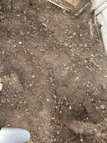 Photo of free Soil, 5 bags (Wokingham RG41) #2