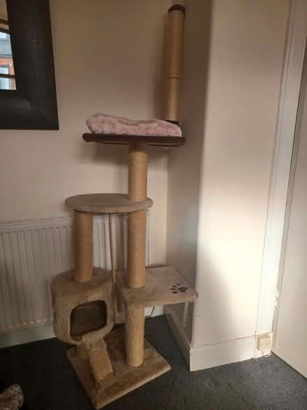 Photo of free Cat tower (Milngavie G62) #1