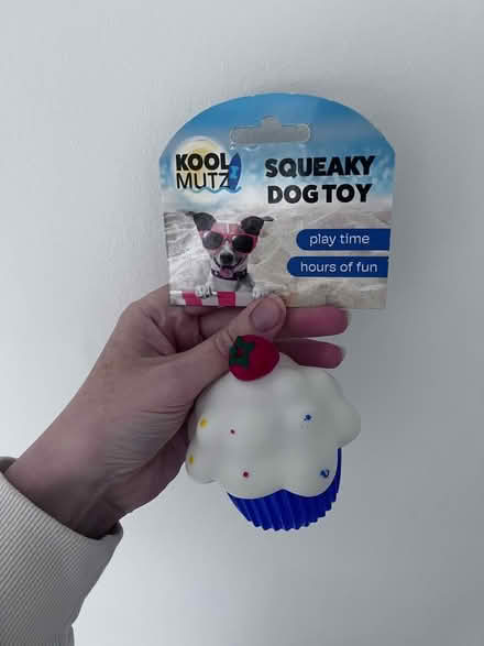Photo of free Squeaky dog toy (Leatherhead KT22) #1