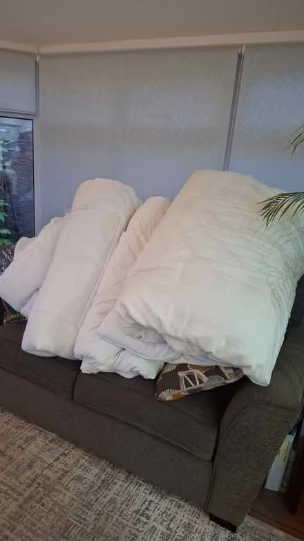 Photo of free bedding (Cottingham.) #3