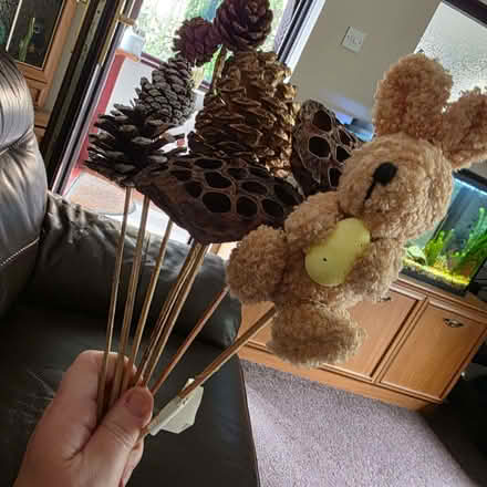 Photo of free Decorative pine cones on sticks ect (Clive Vale TN35) #2