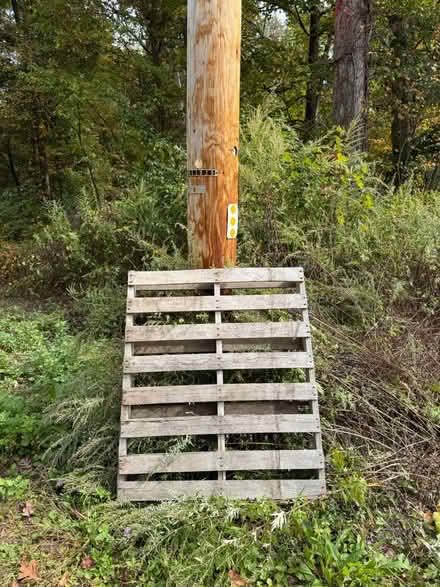 Photo of free standard wood pallet (Montgomery) #1