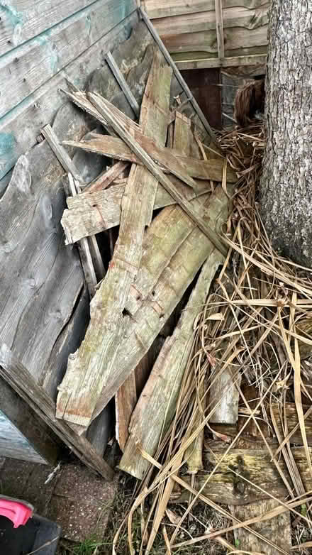 Photo of free Firewood (Worle BS22) #1