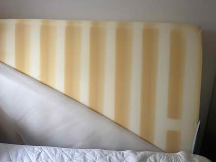 Photo of free Foam for a project? (Paulton BS39) #1