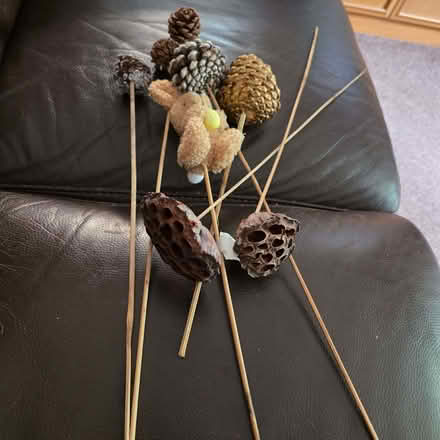 Photo of free Decorative pine cones on sticks ect (Clive Vale TN35) #1