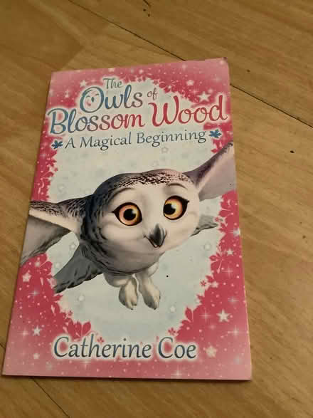 Photo of free The owls of blossom wood book (Brampton S40) #1