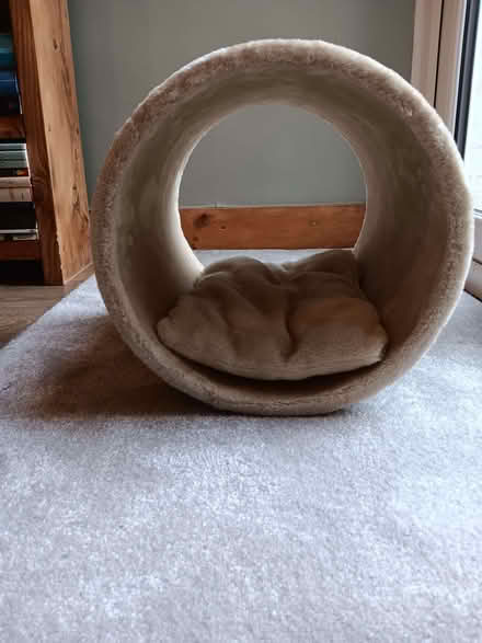 Photo of free Cat/rabbit bed tunnel (Hook Heath GU22) #1