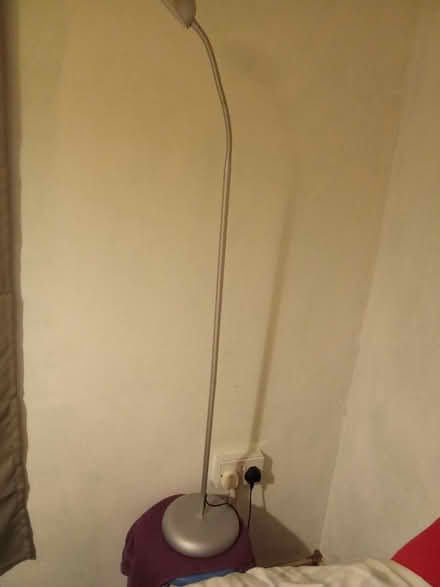 Photo of free Floor lamp (Willesborough) #1