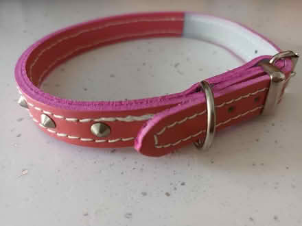Photo of free 2 small leather dog collars (Melksham) #1