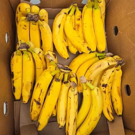 Photo of free Bananas (94041) #3