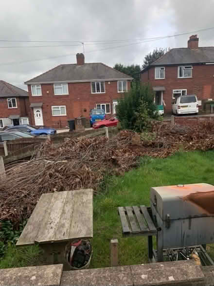 Photo of free dead dry branches (Rowley Regis) #1