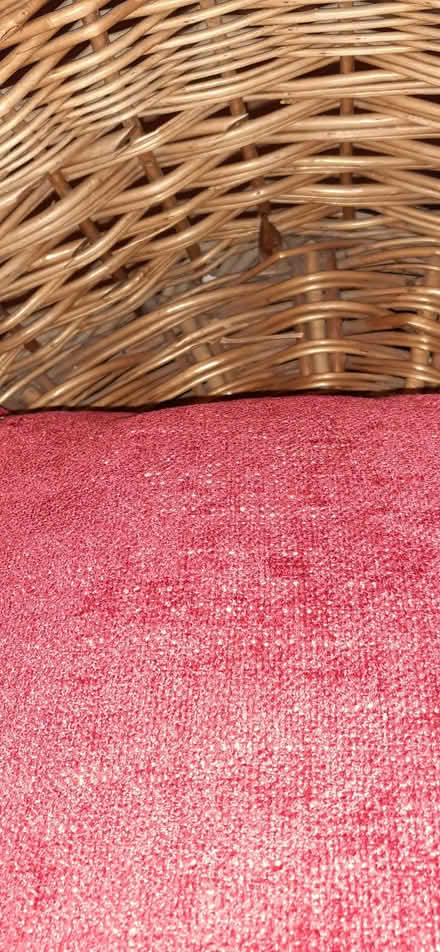 Photo of free Basket (Kennington OX1) #3