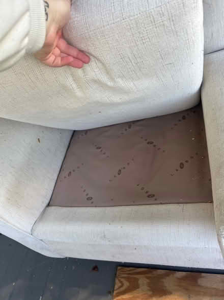 Photo of free Lazy Boy Sofa (Topton pa) #3