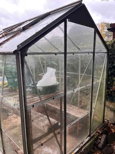 Photo of free Greenhouse (Wymondley Park SG4) #1