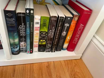 Photo of free Assorted used YA books (West Roxbury (Boston)) #2