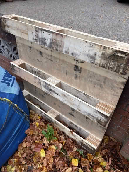Photo of free Pallet (Hereford HR1) #1