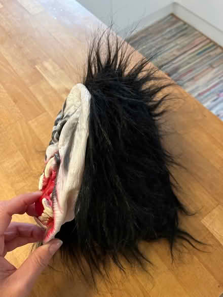 Photo of free Halloween mask (Woodley RG6) #2